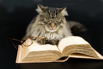 От Бастет до библейското мълчание: Какво наистина ни учат Древен Египет и Библията за котките, кучетата и човешката слепота