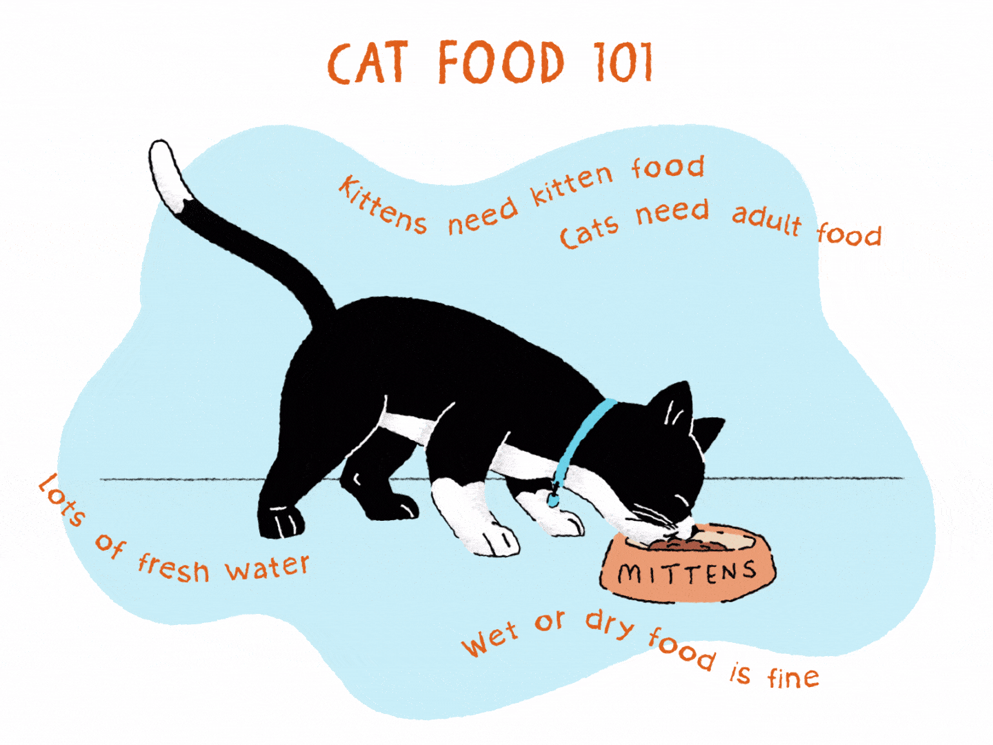 how do i feed my cat? - изображение 4