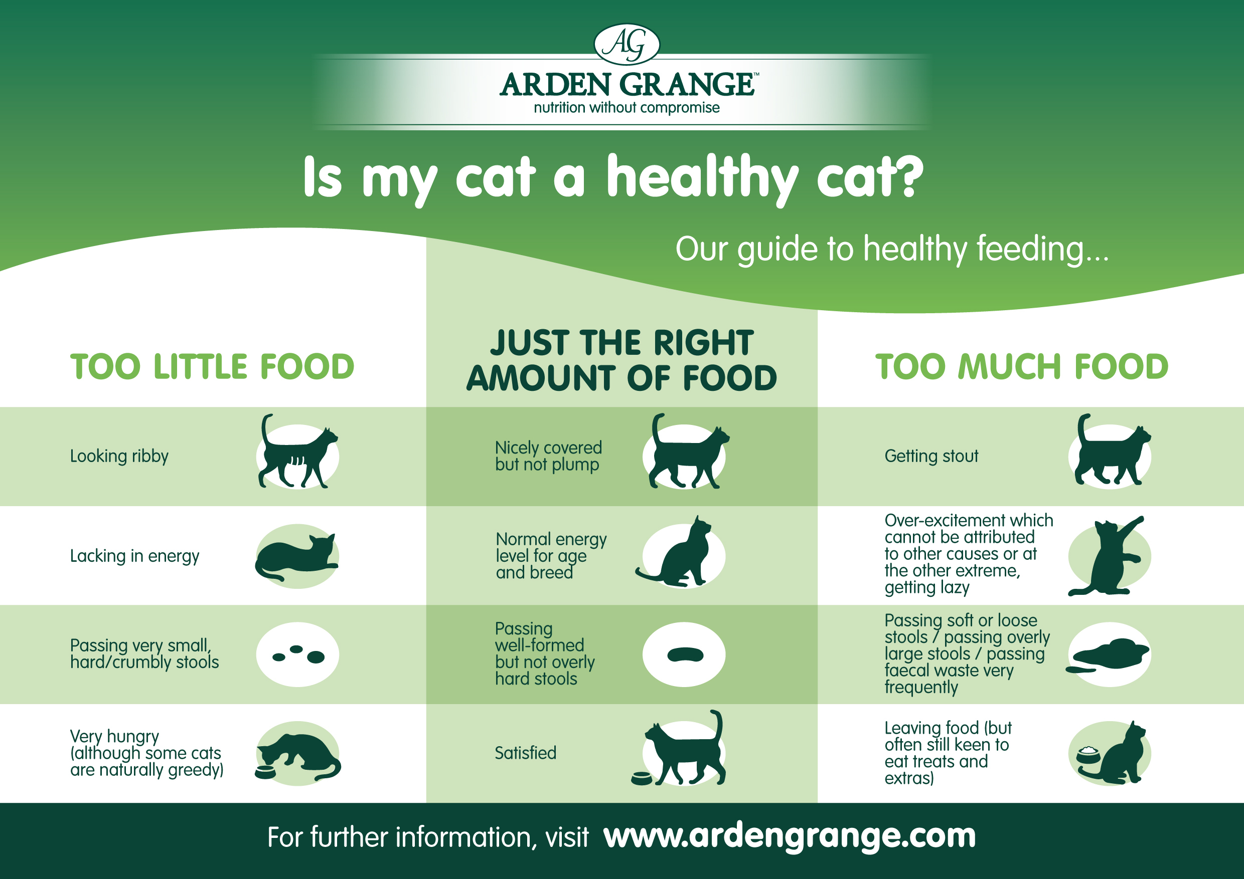 how do i feed my cat? - изображение 3