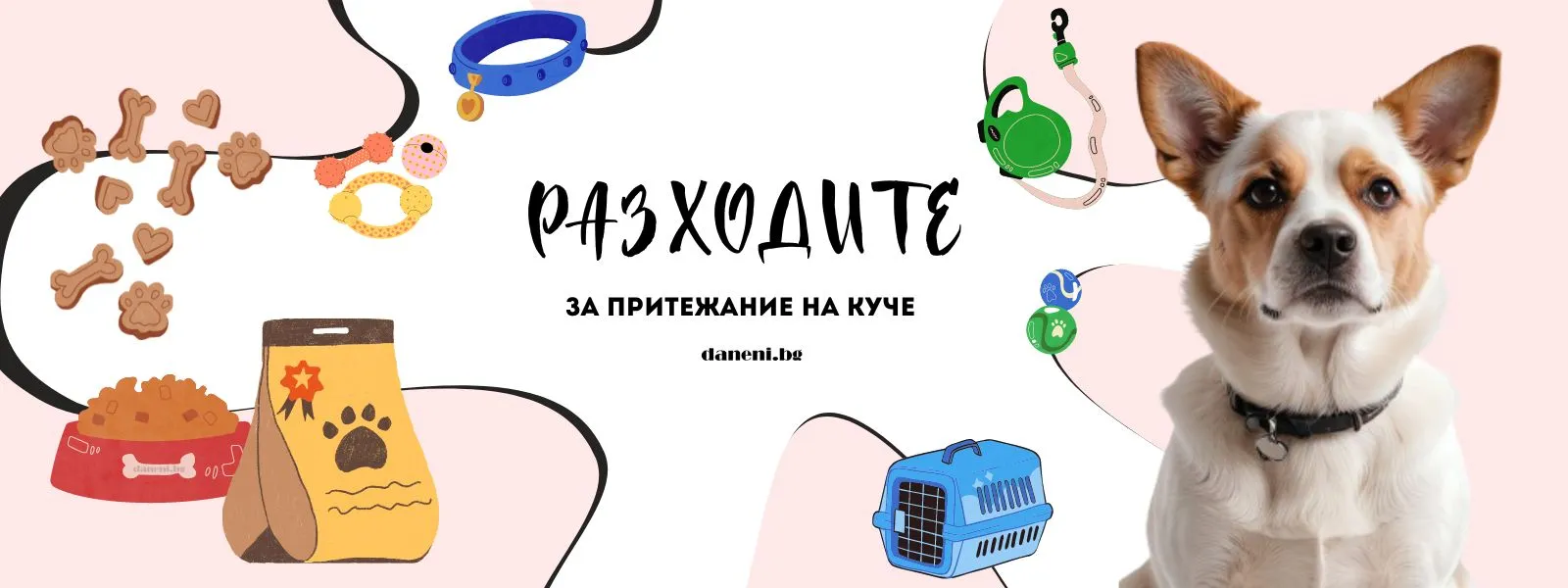Колко струва отглеждането на куче? разходите за ветеринарни прегледи, храна, играчки и други пособия - изображение 3