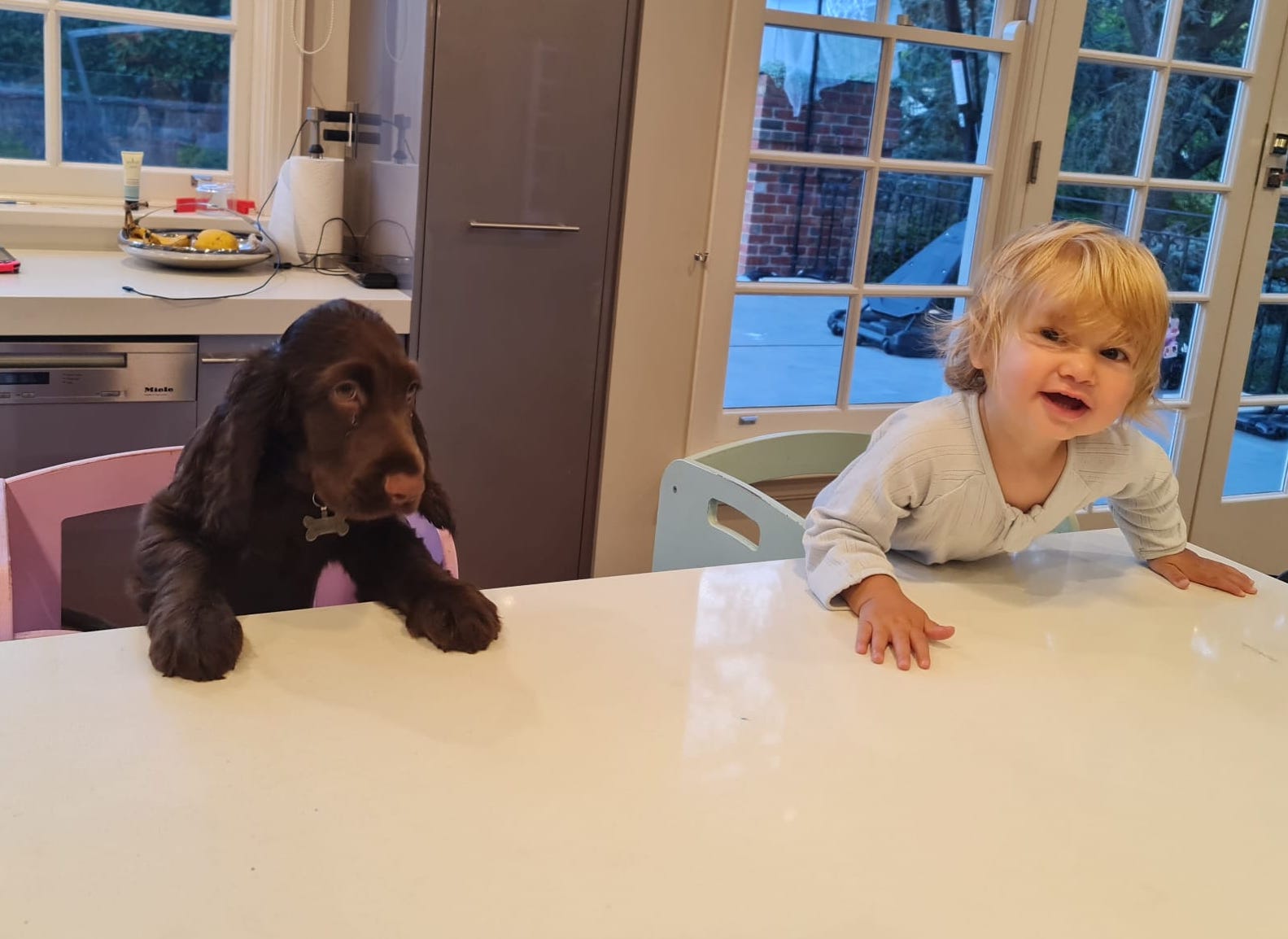 My kid wants a pet - suggestions with plus and minuses assesment - изображение 2