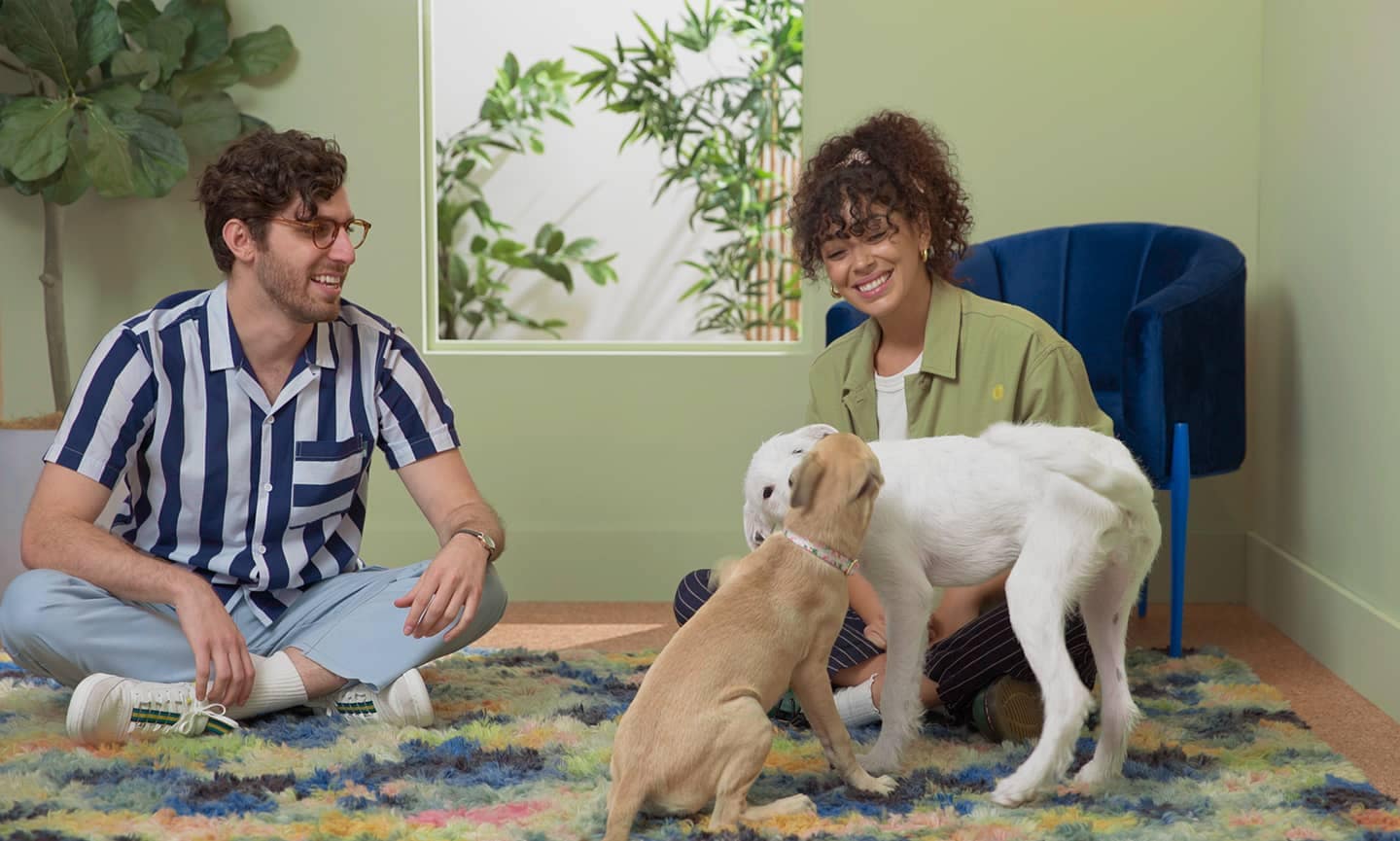Teaching Puppies (and Rescues) to Socialize Safely - изображение 3