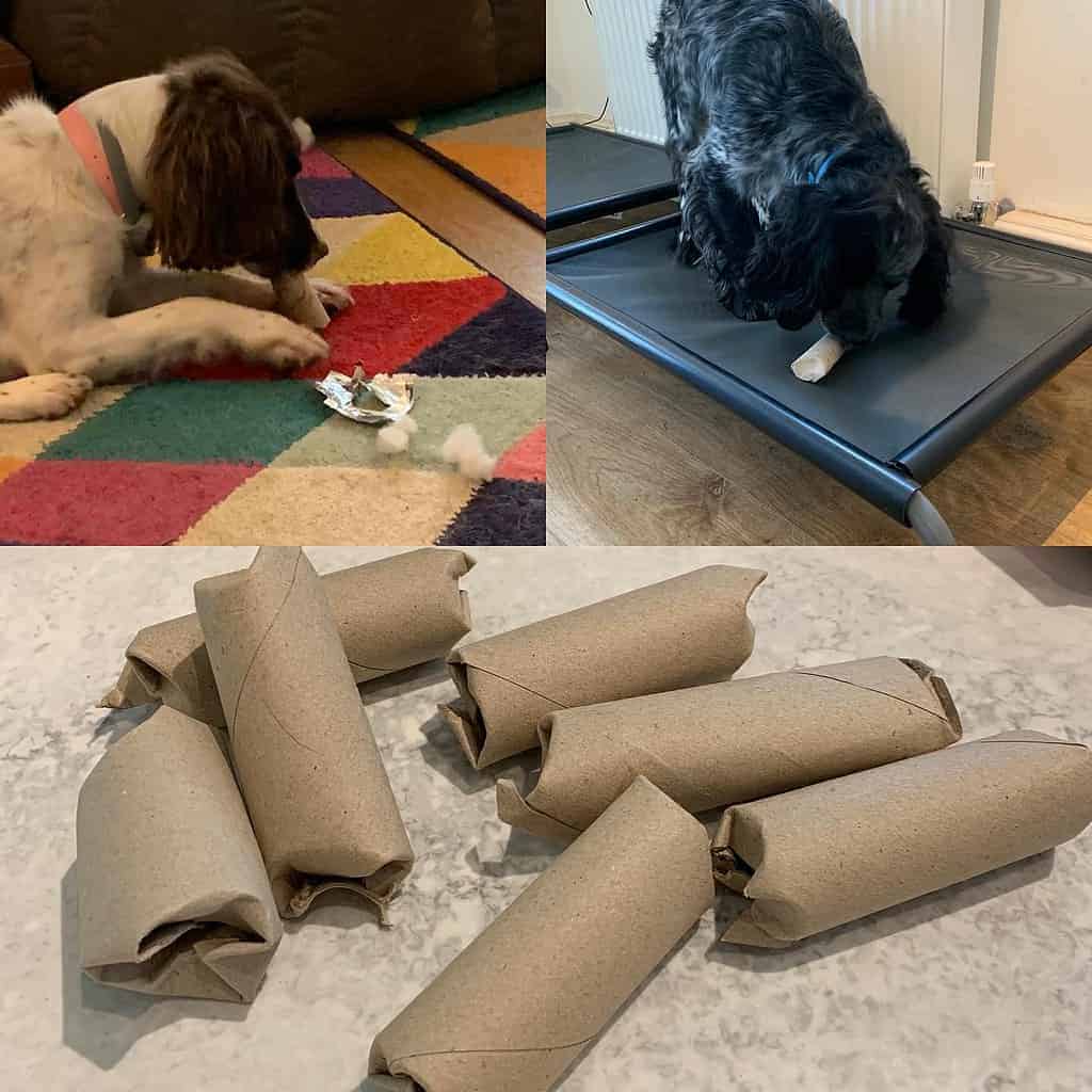 DIY Dog Toys: Safe,Enriching Ideas You Can Make at Home - изображение 2