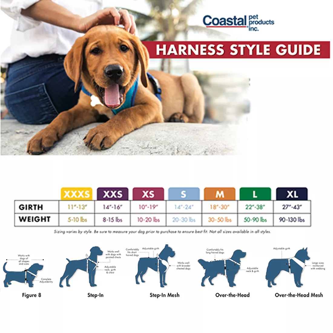 How to Choose the Best Collar or Harness for Your Dog - изображение 2