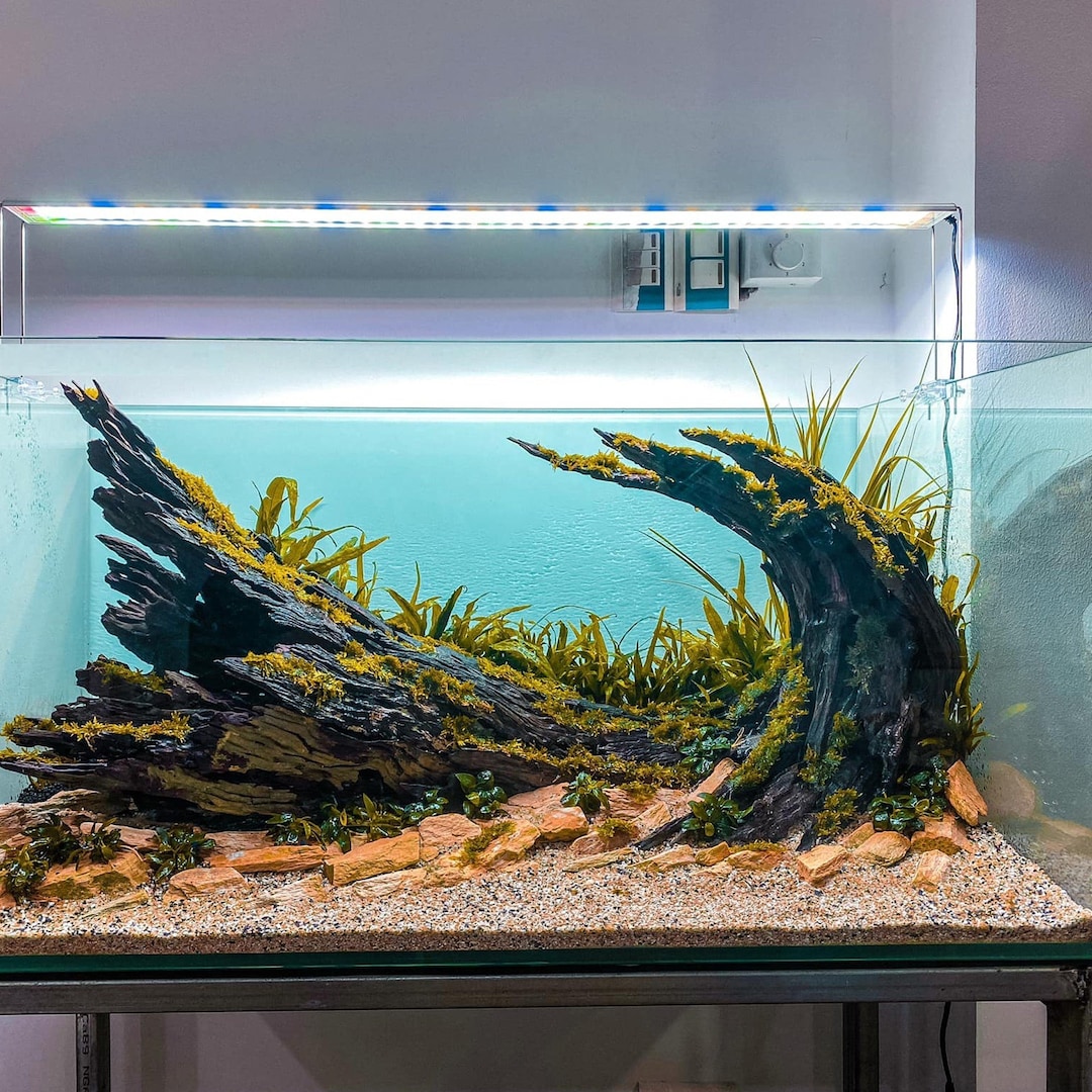 Aquarium Interiors: Decorating for Fish Happiness,Not Instagram Likes - изображение 3