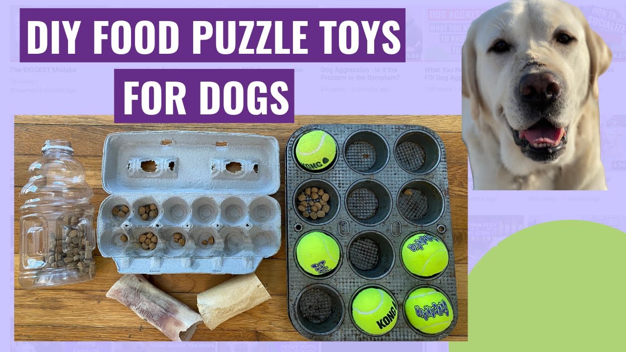 DIY Dog Toys: Safe,Enriching Ideas You Can Make at Home - изображение 4