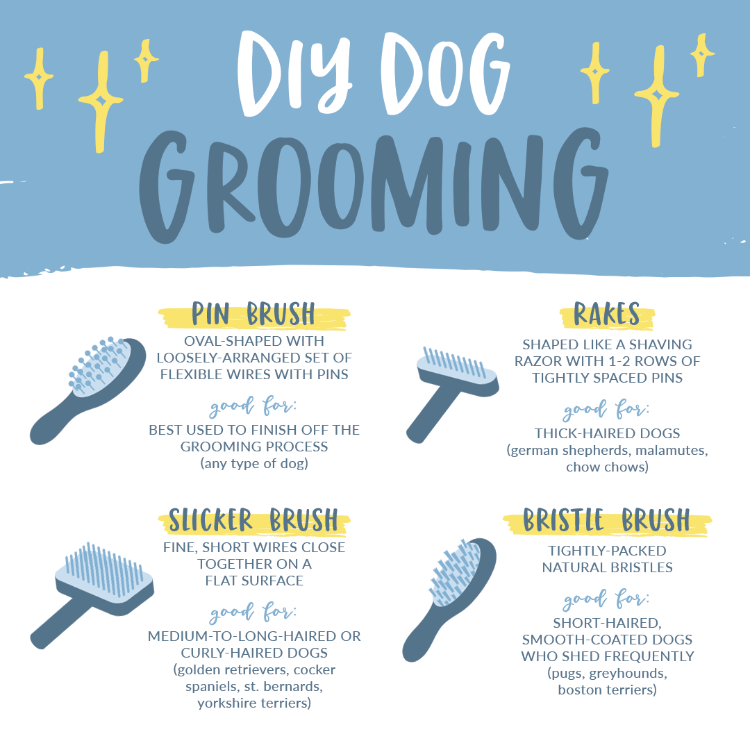 Brushing Basics: Choosing the Right Brush for Every Coat Type - изображение 2
