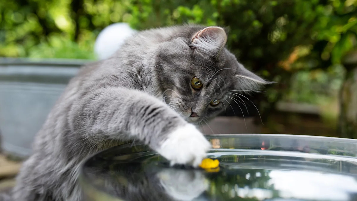 The Curious Case of Cats and Their Water Bowls - изображение 3