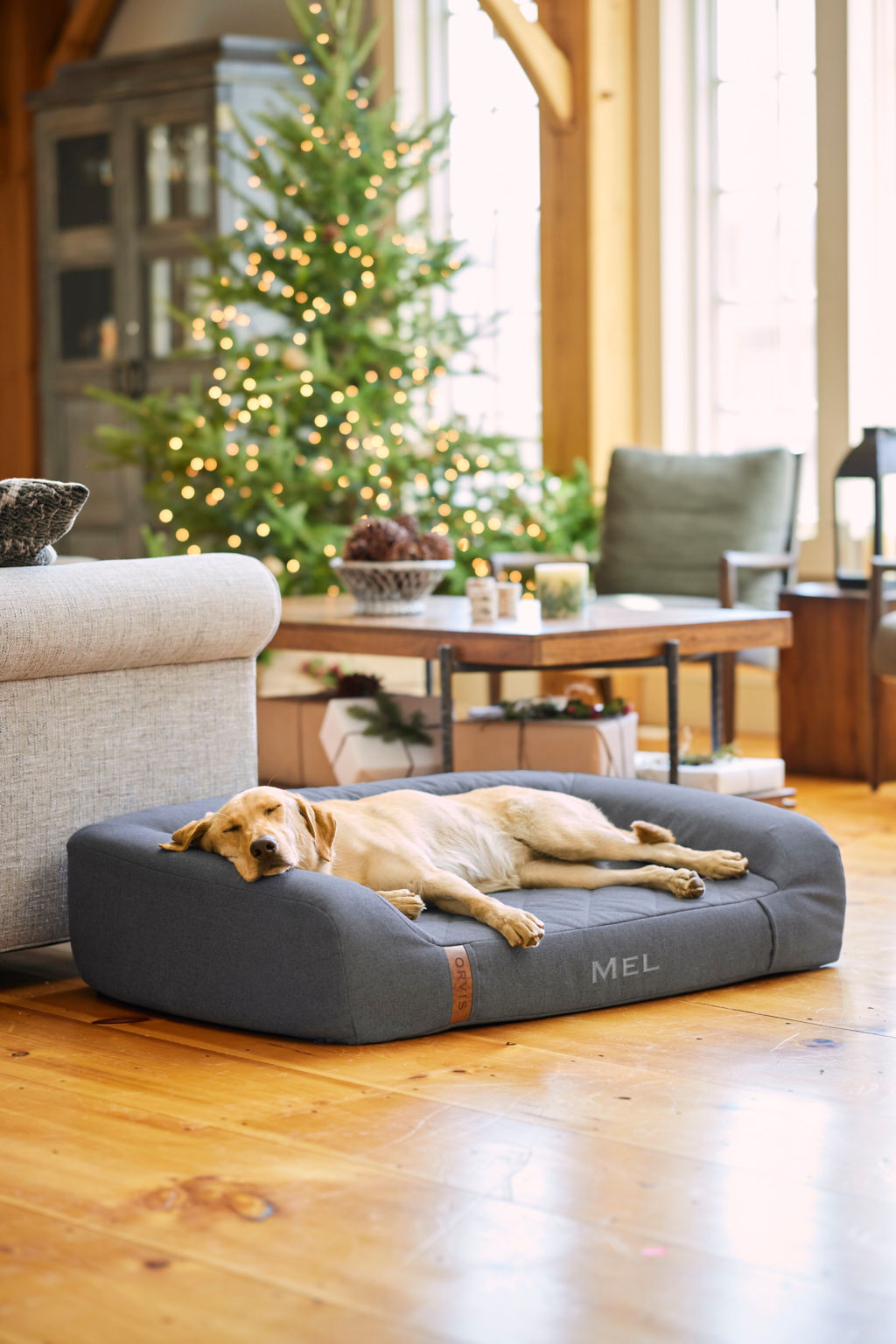 The Best Sleeping Arrangements for Dogs (Yes, the Couch Counts) - изображение 3