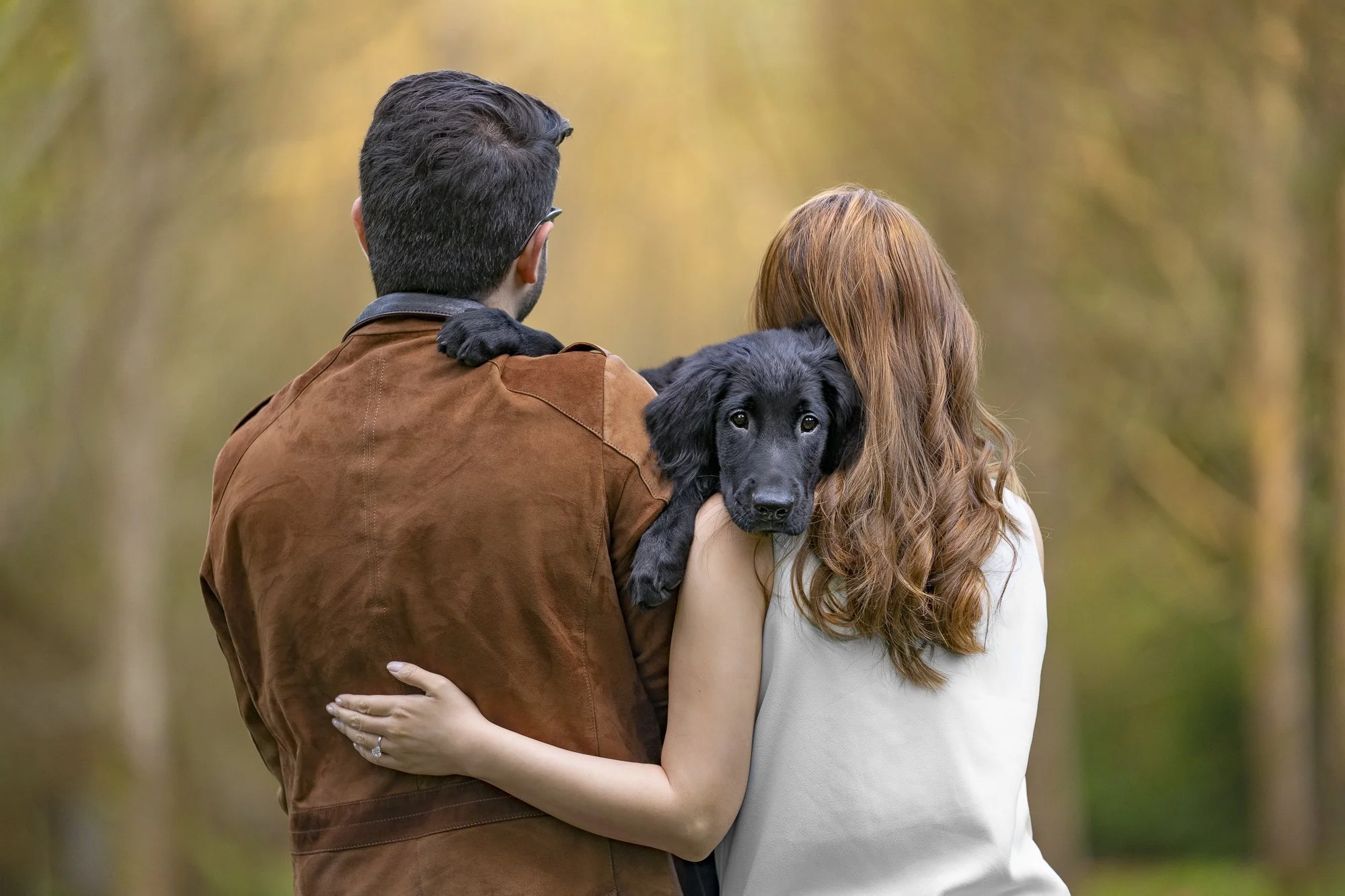 Sunday Snuggles: Creating the Perfect Pet Photo Shoot - изображение 4