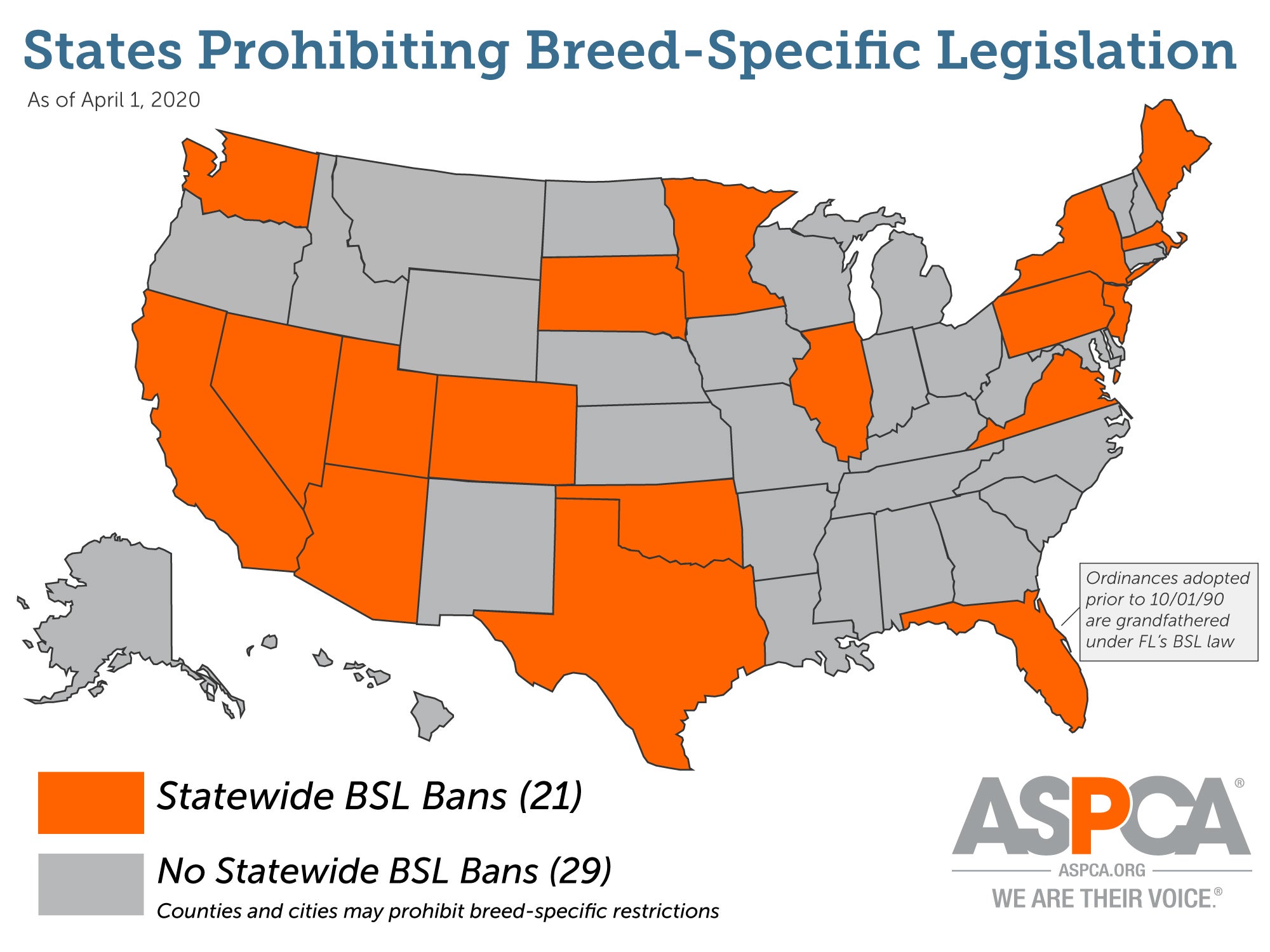 Dog Politics: Breed Bans & How Policy Affects Pets - изображение 2