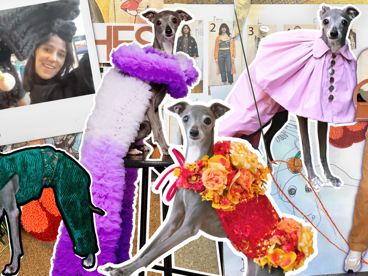 Pet News of the Week: Pet Fashion Trends You’ll Love - изображение 2